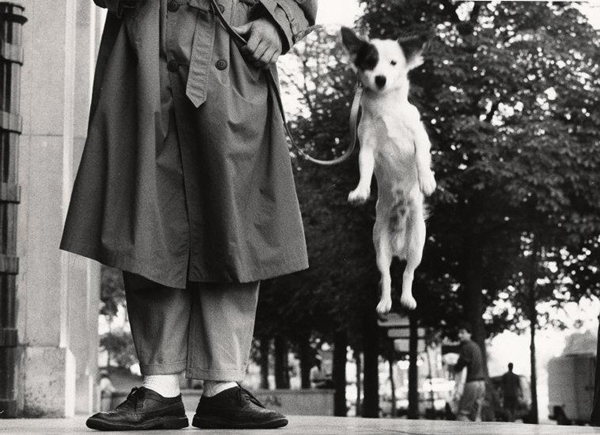 Elliott Erwitt - Parigi, Francia, 1989