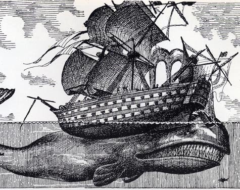 whale-sinks-ship