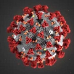 Coronavirus,corretta e scientifica informazione: un confronto con Francesco Bonella Clinica universitaria di Essen