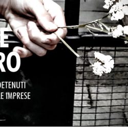 Giustizia, carcere, lavoro: corso di formazione per informare in un’ottica inclusiva a Venezia